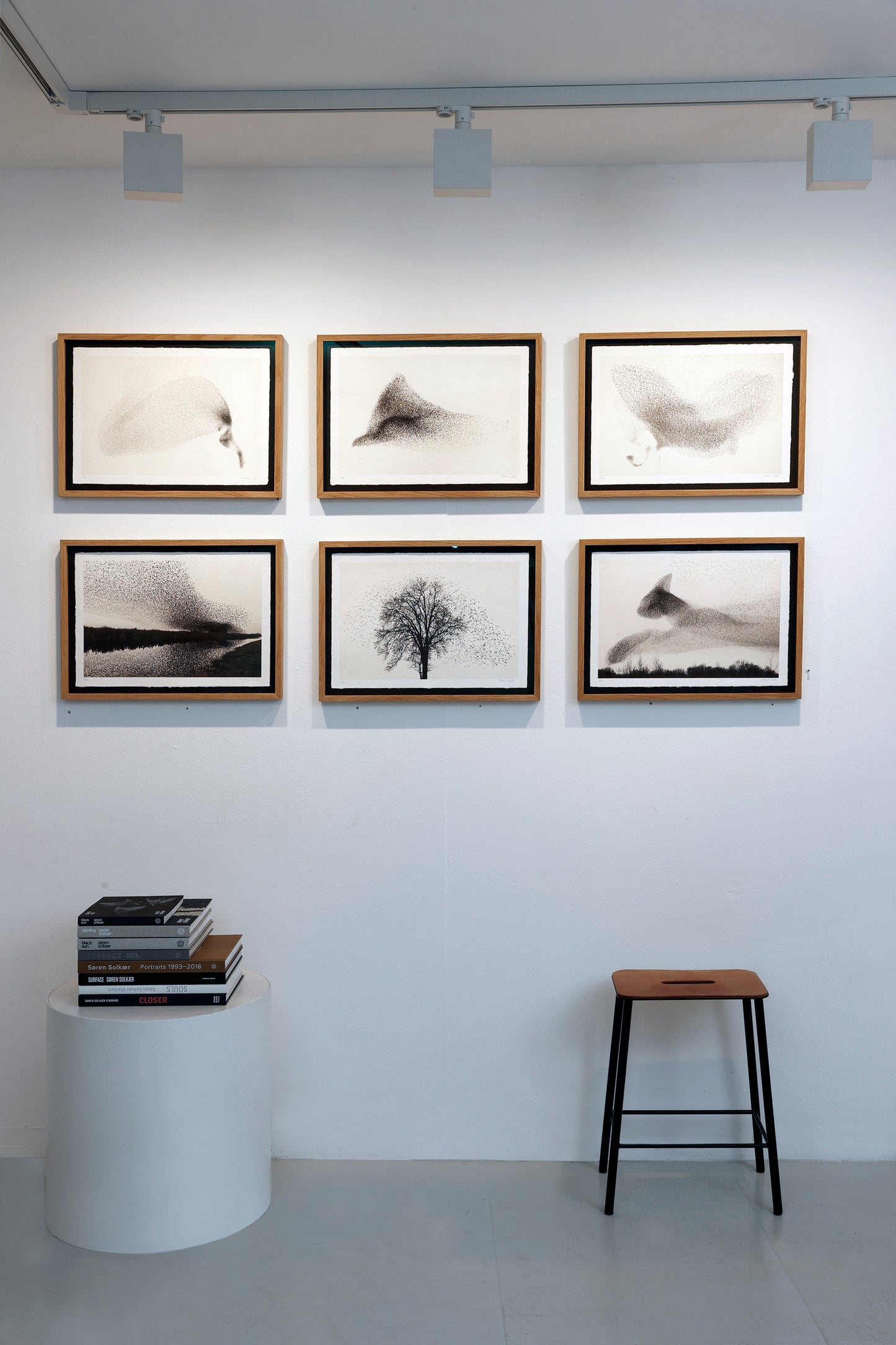 Black Sun / Starling museum box with 6 limited edition A3+ prints on Japanese washi paper