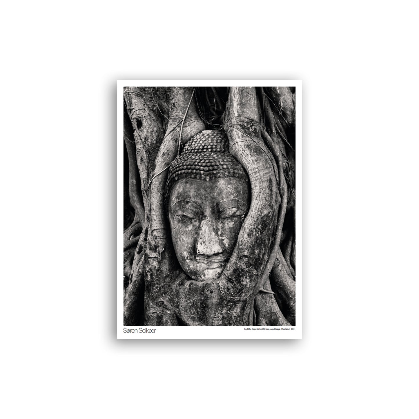 Buddha poster