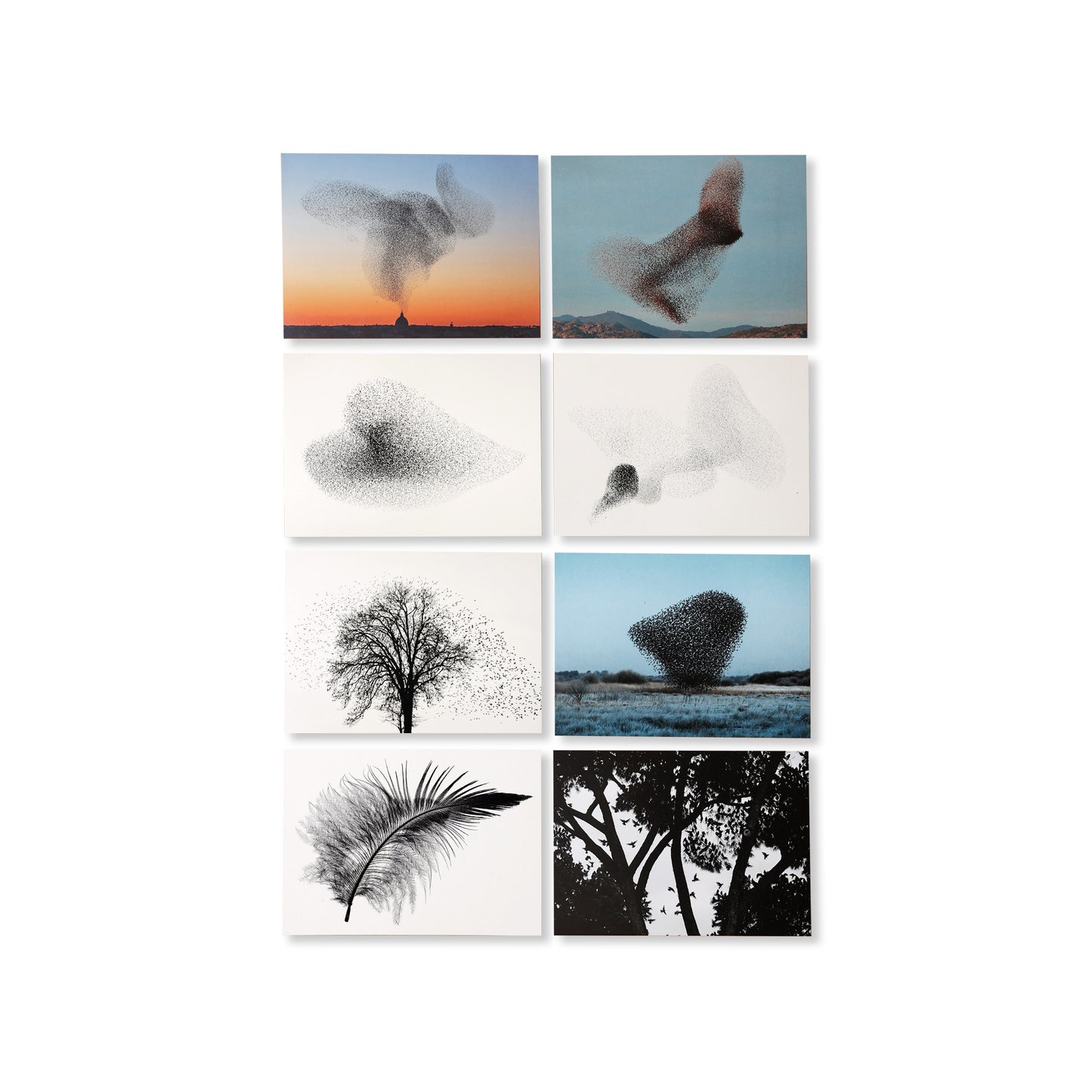 Collection of 8 large Black Sun postcards