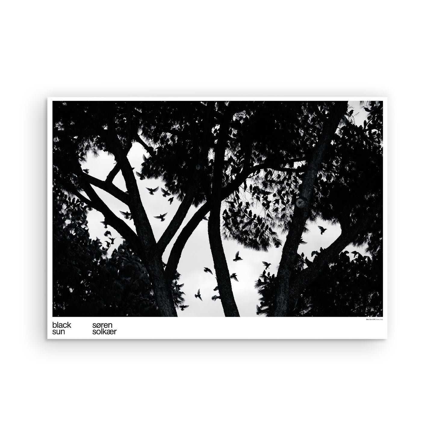 Black Sun #202 poster