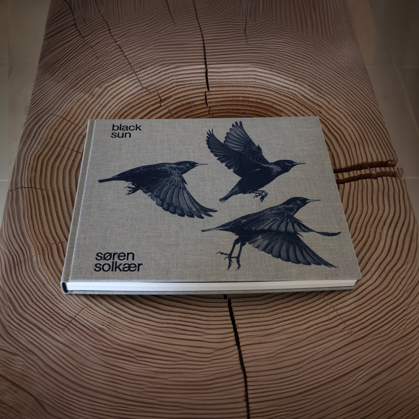 Black Sun hardcover book (English)