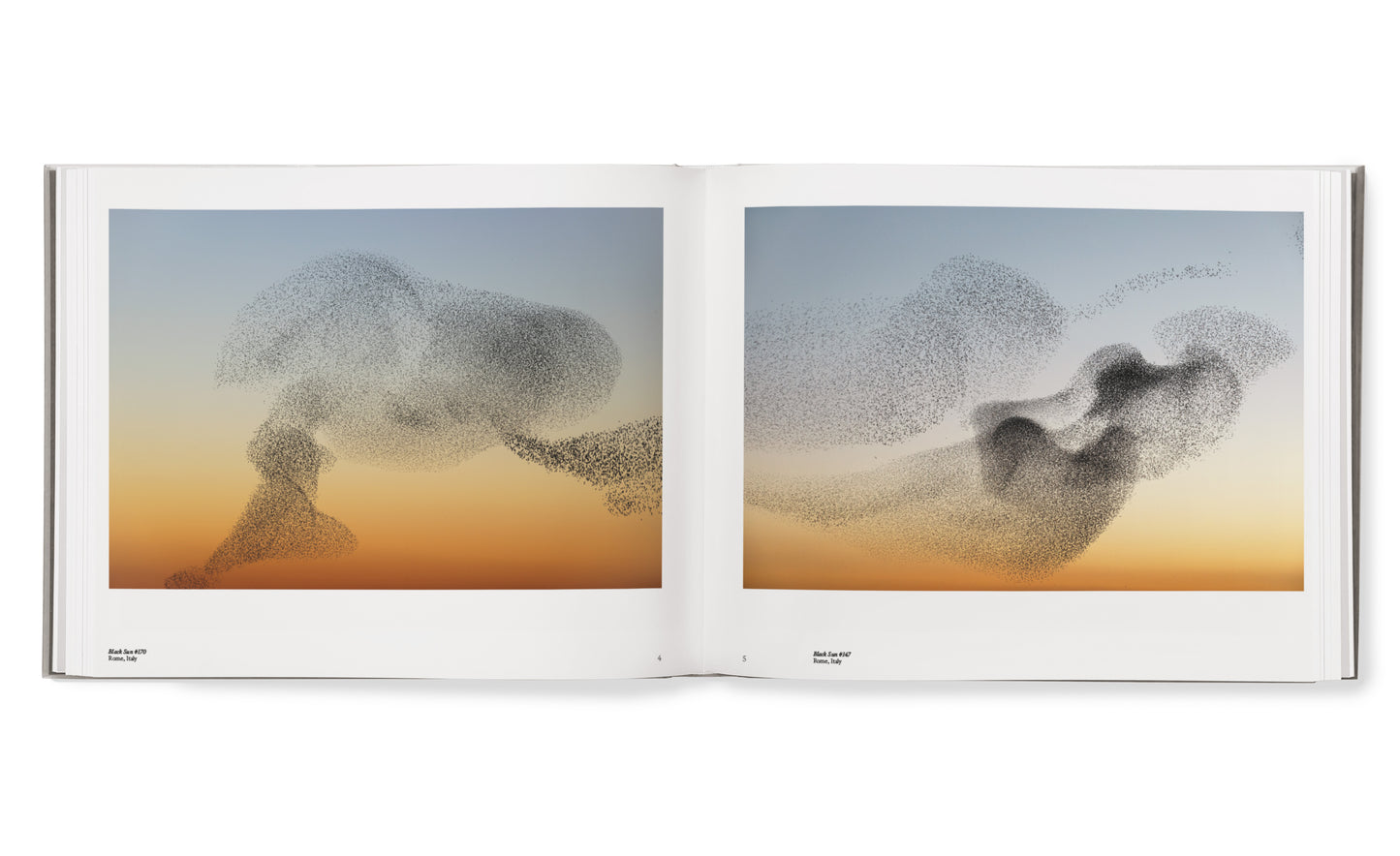 Starling hardcover book