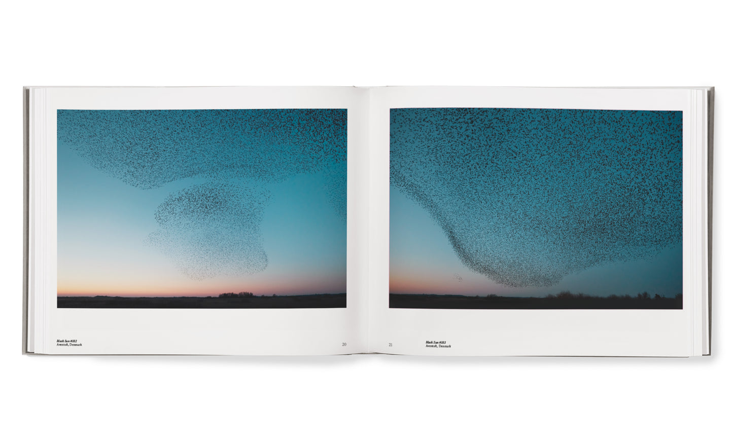 Starling hardcover book