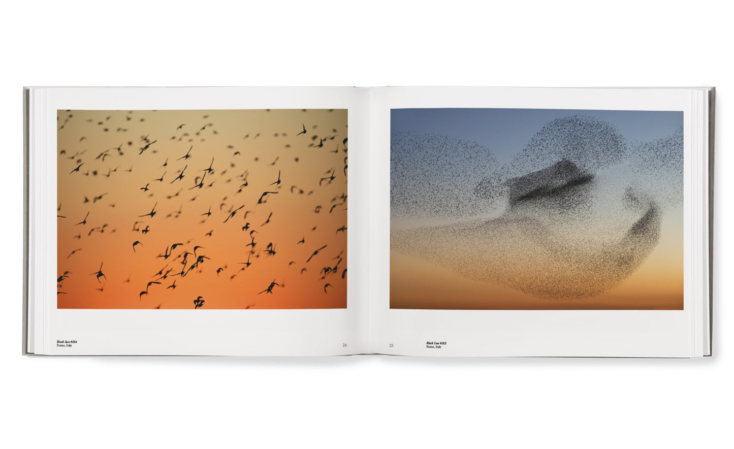 Starling hardcover book