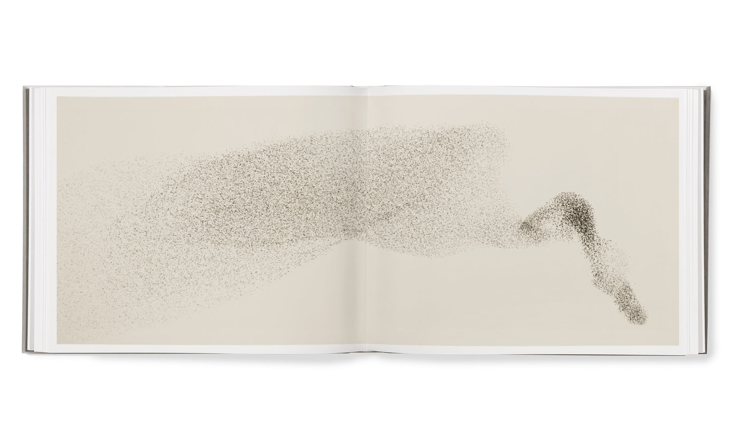 Starling hardcover book