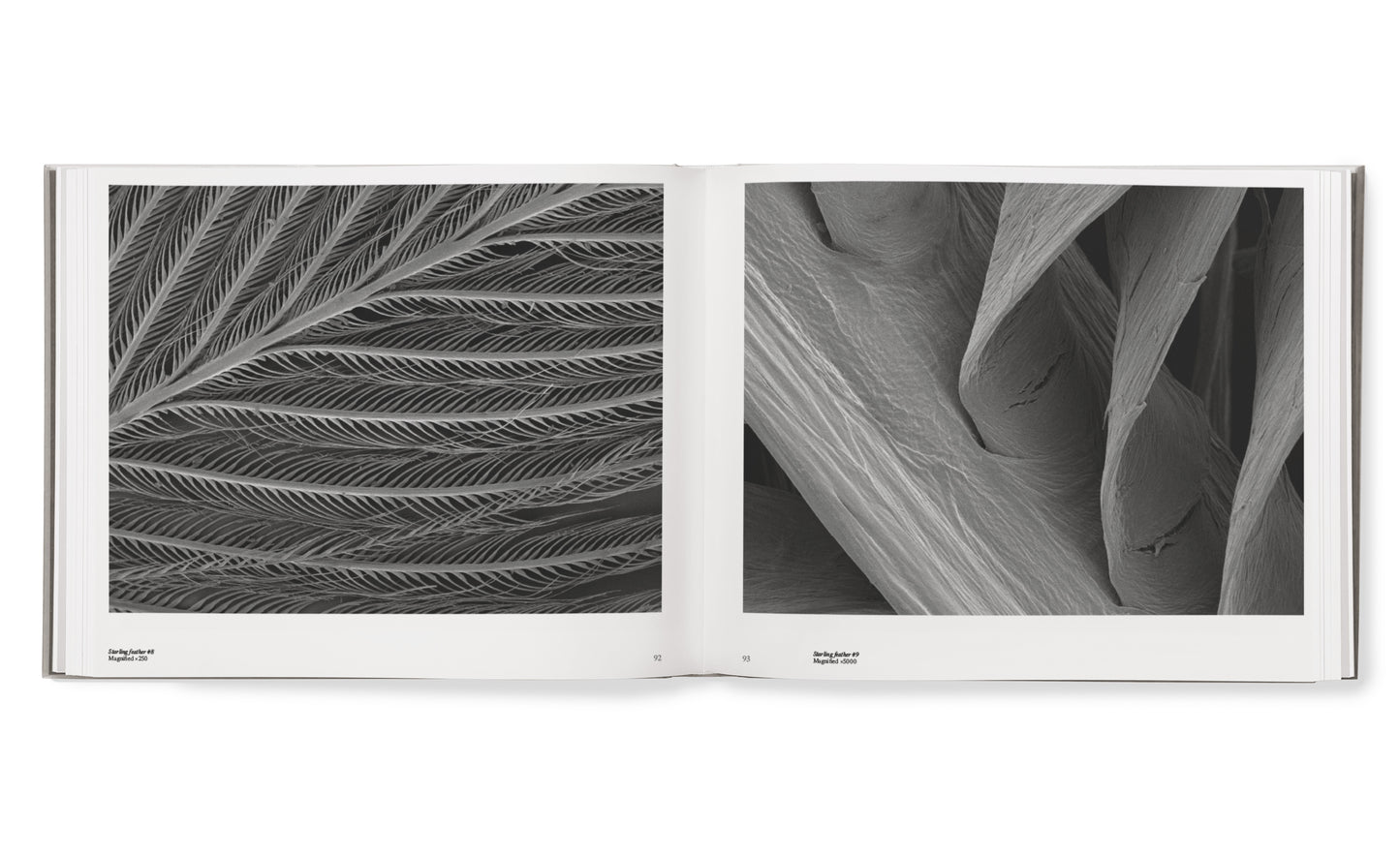 Starling hardcover book