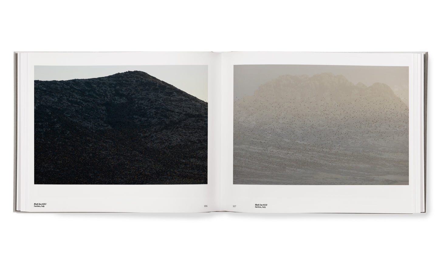 Starling hardcover book