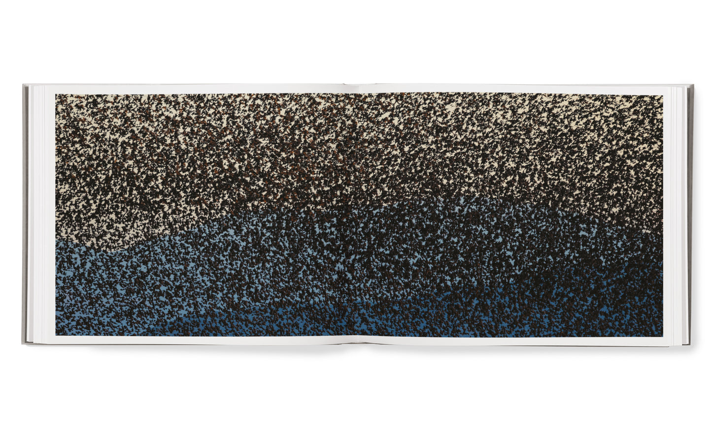 Starling hardcover book