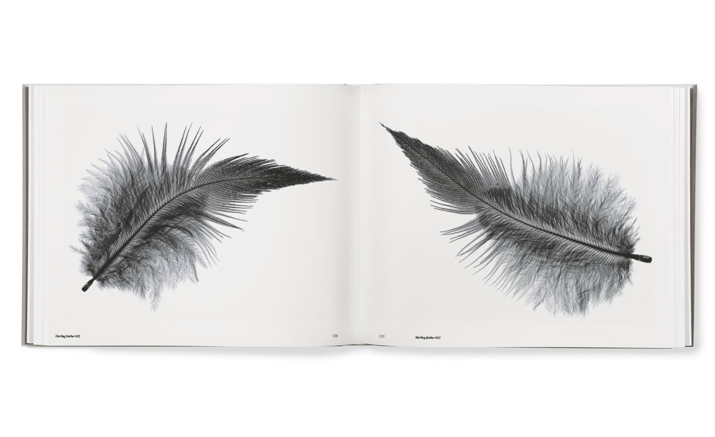 Starling hardcover book