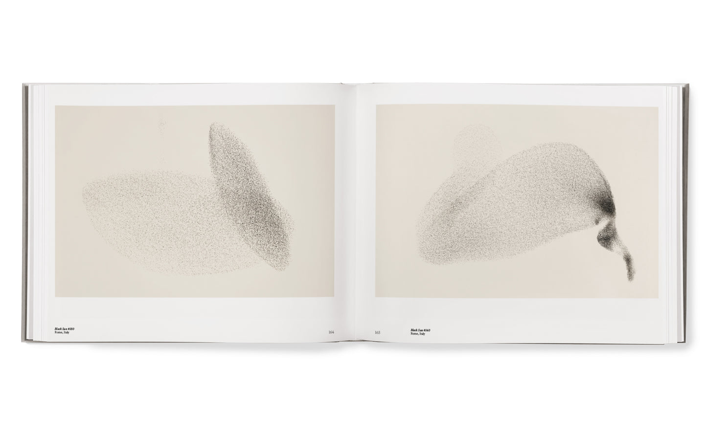 Starling hardcover book