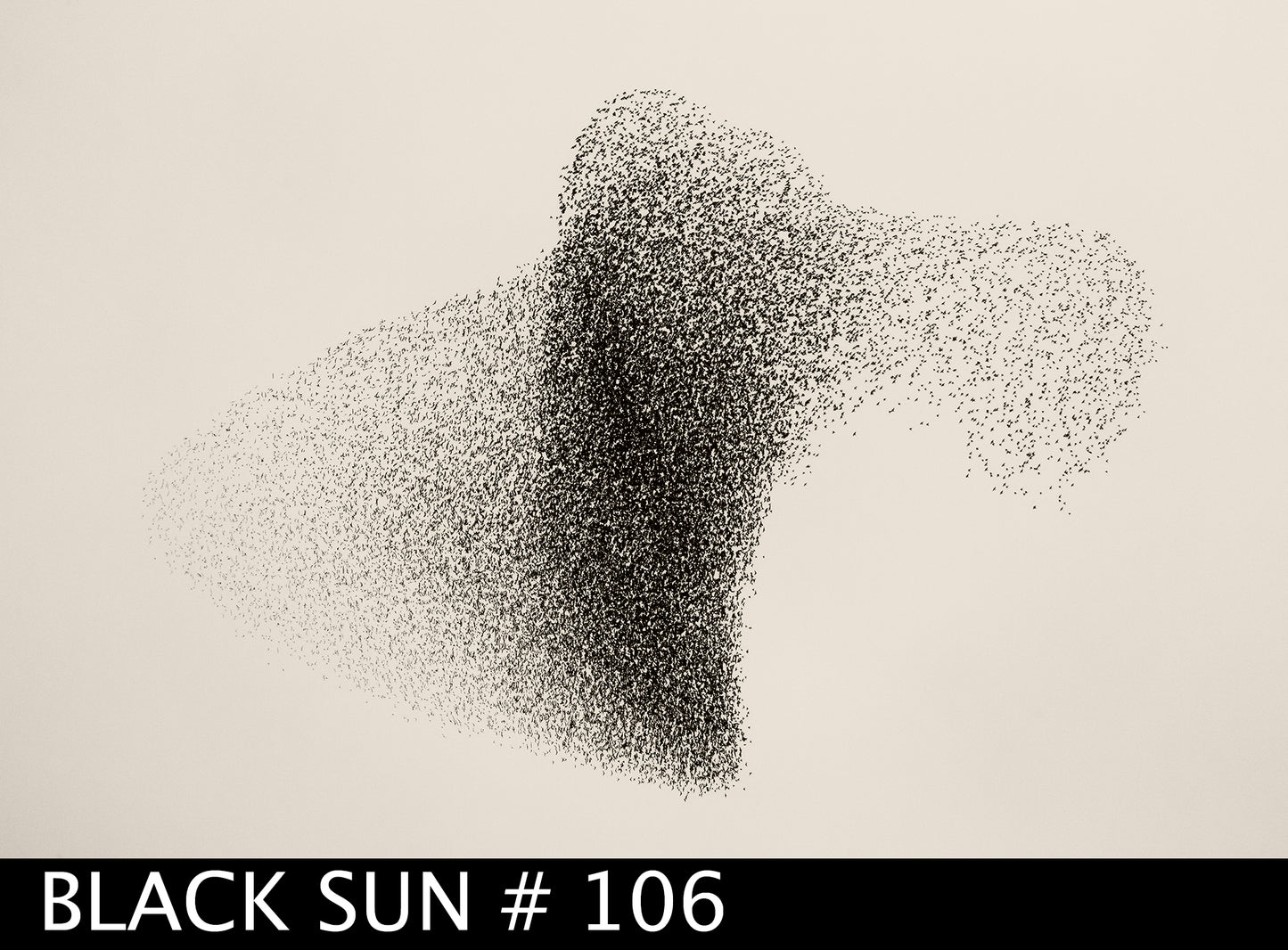 Black Sun box with book and a limited edition print