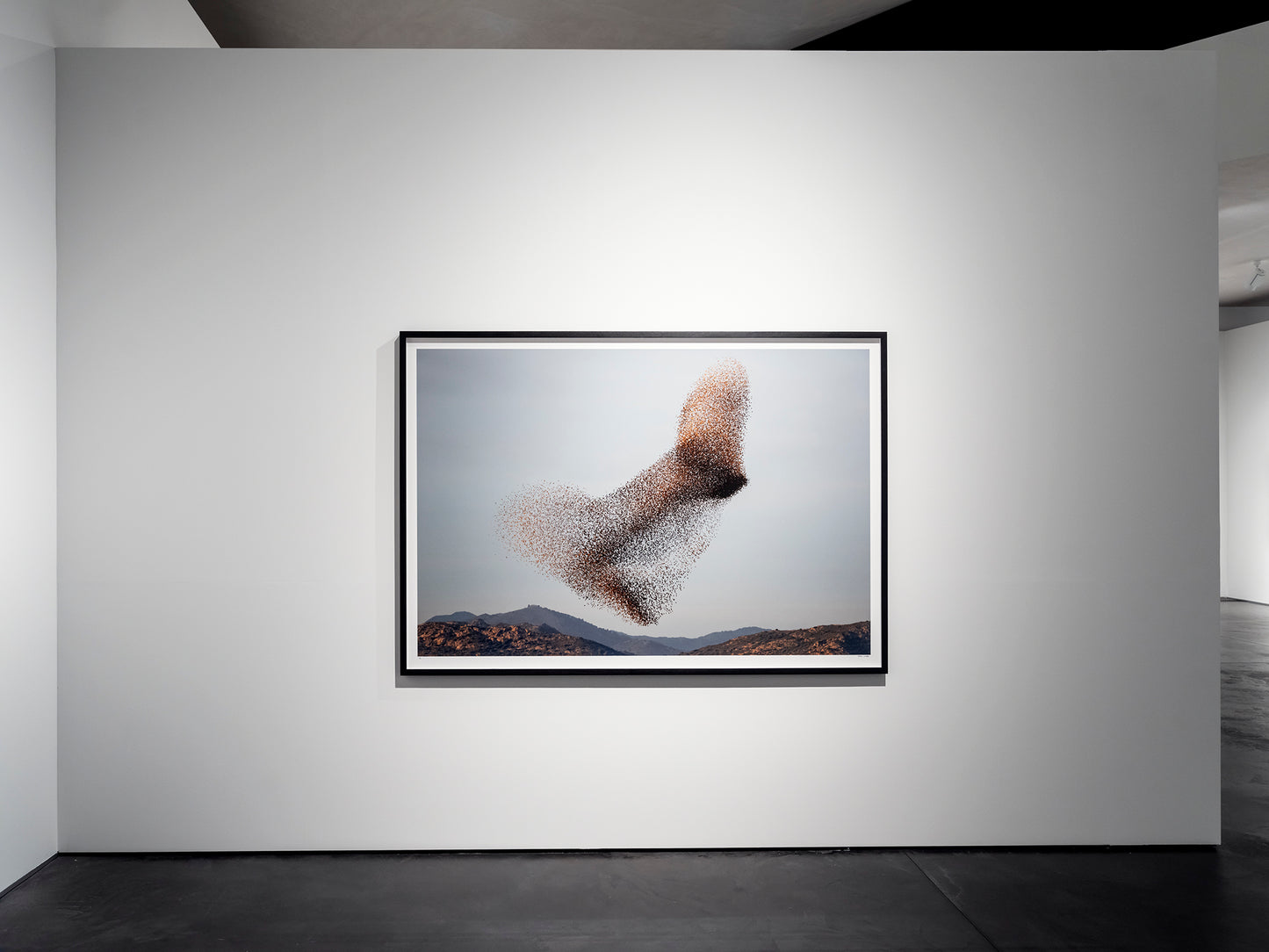 Black sun #75 - please enquire