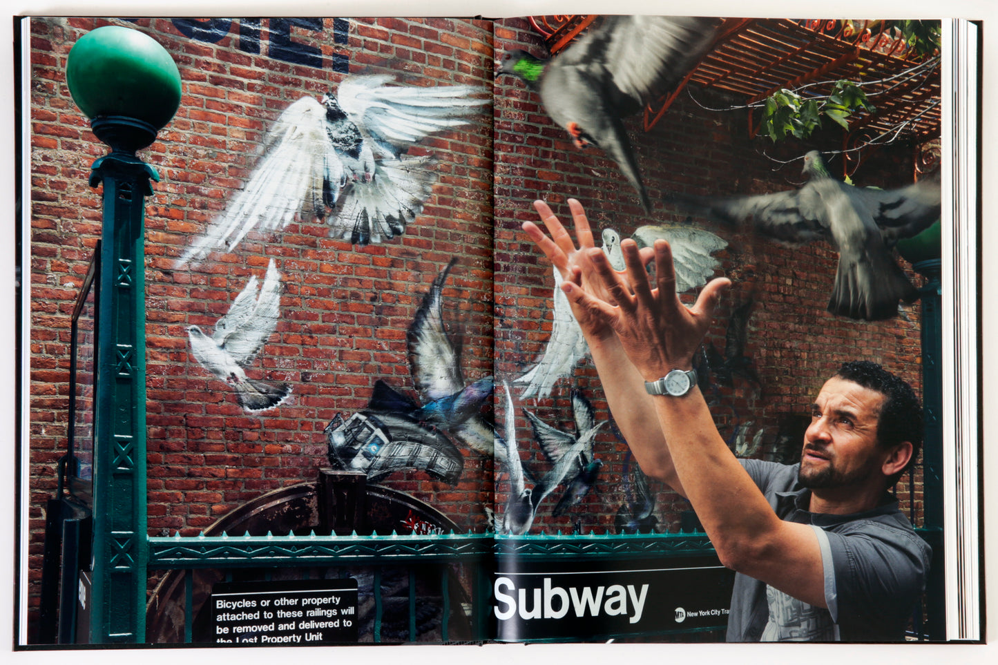 SURFACE hardcover book