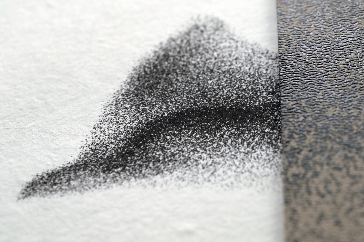 Black Sun special edition box