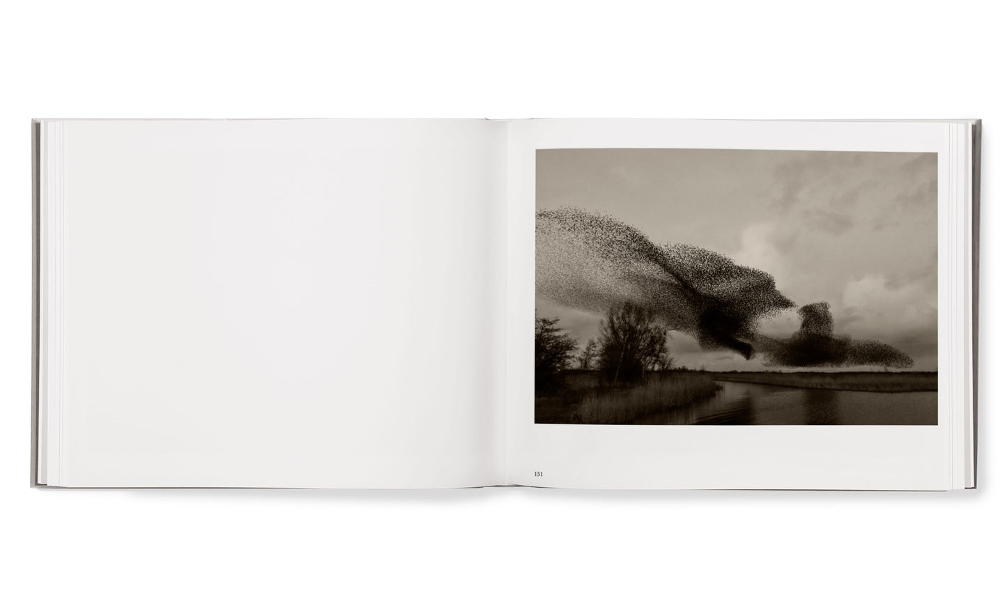 Black Sun hardcover book (Danish)