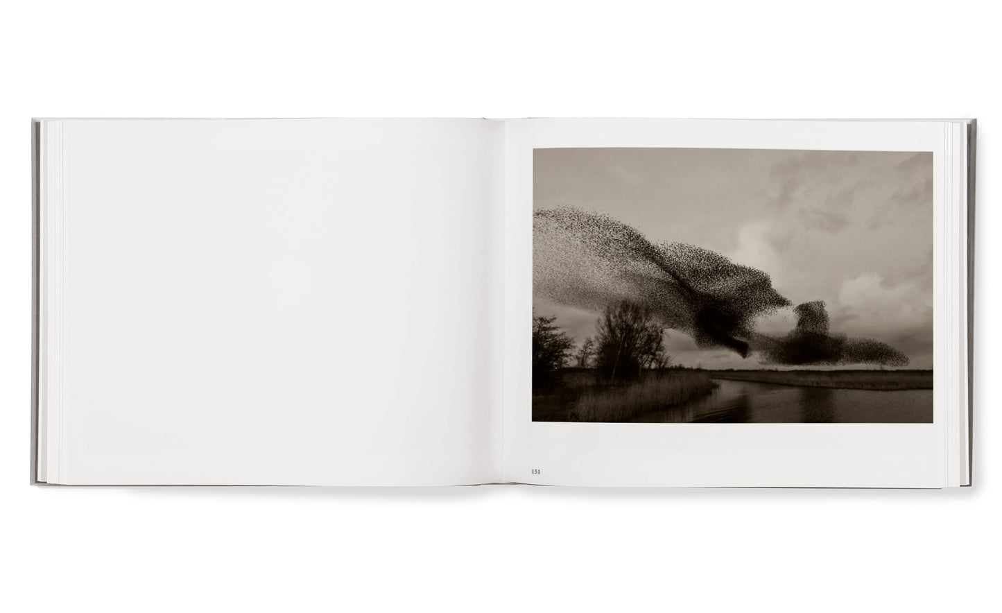 Black Sun hardcover book (English)