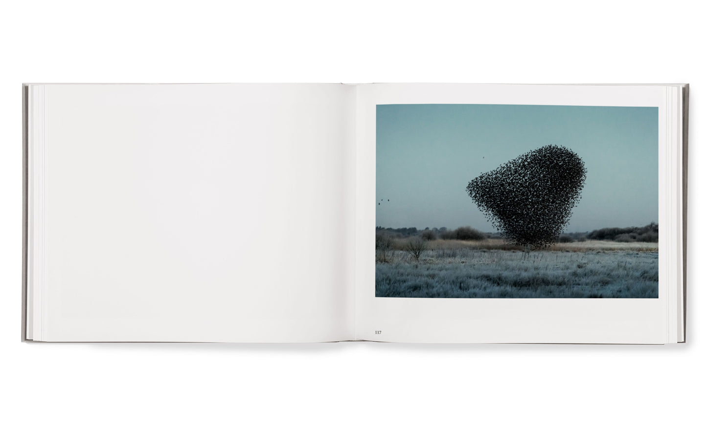Black Sun hardcover book (Danish)
